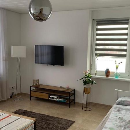 Grenznahe Ferienwohnung Mit 4 Schlafzimmern Grenzach-Wyhlen Exterior photo
