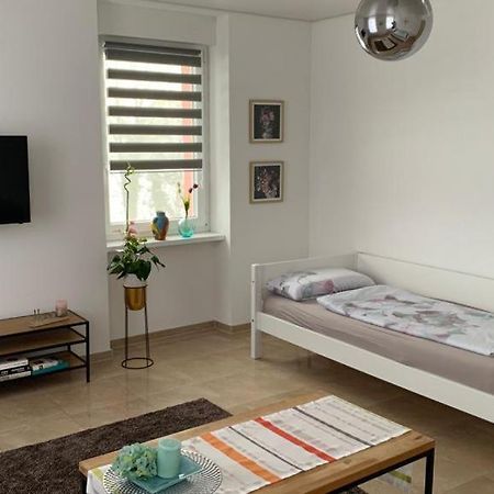 Grenznahe Ferienwohnung Mit 4 Schlafzimmern Grenzach-Wyhlen Exterior photo