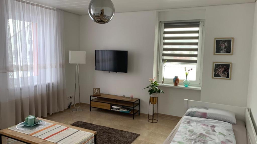 Grenznahe Ferienwohnung Mit 4 Schlafzimmern Grenzach-Wyhlen Exterior photo