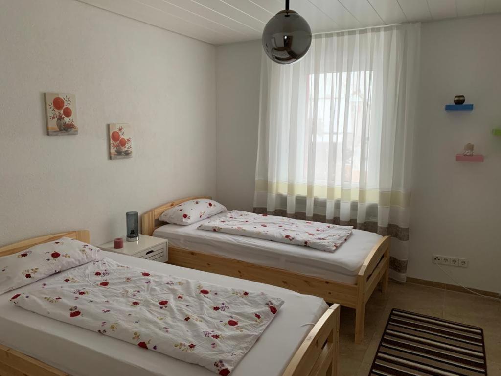 Grenznahe Ferienwohnung Mit 4 Schlafzimmern Grenzach-Wyhlen Exterior photo