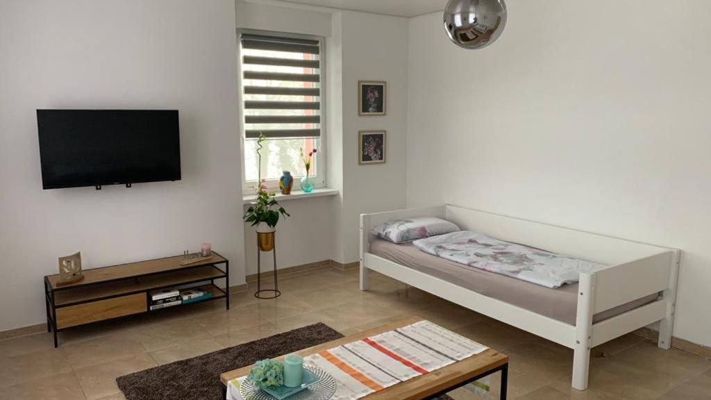 Grenznahe Ferienwohnung Mit 4 Schlafzimmern Grenzach-Wyhlen Exterior photo